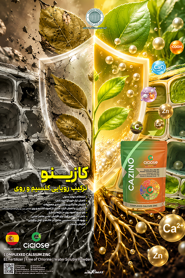 طراحی پوستر| طرح و گرافیک ماهان